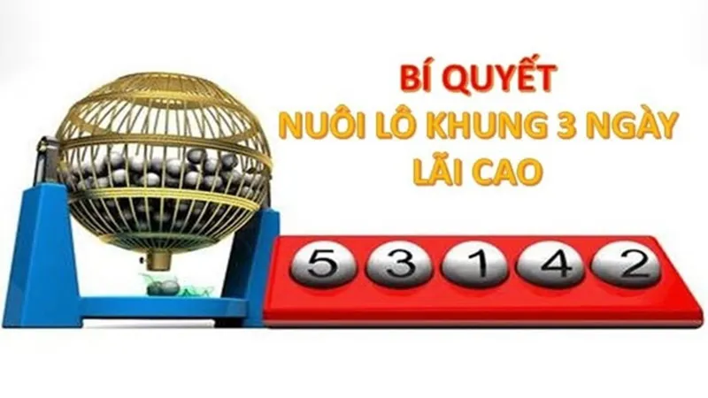 Mẹo hay giúp bạn nuôi bạch thủ lô khung 3 ngày hiệu quả